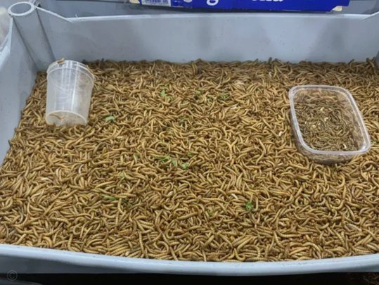 第六届社区杯足球赛：全民健身的绿茵盛事启航